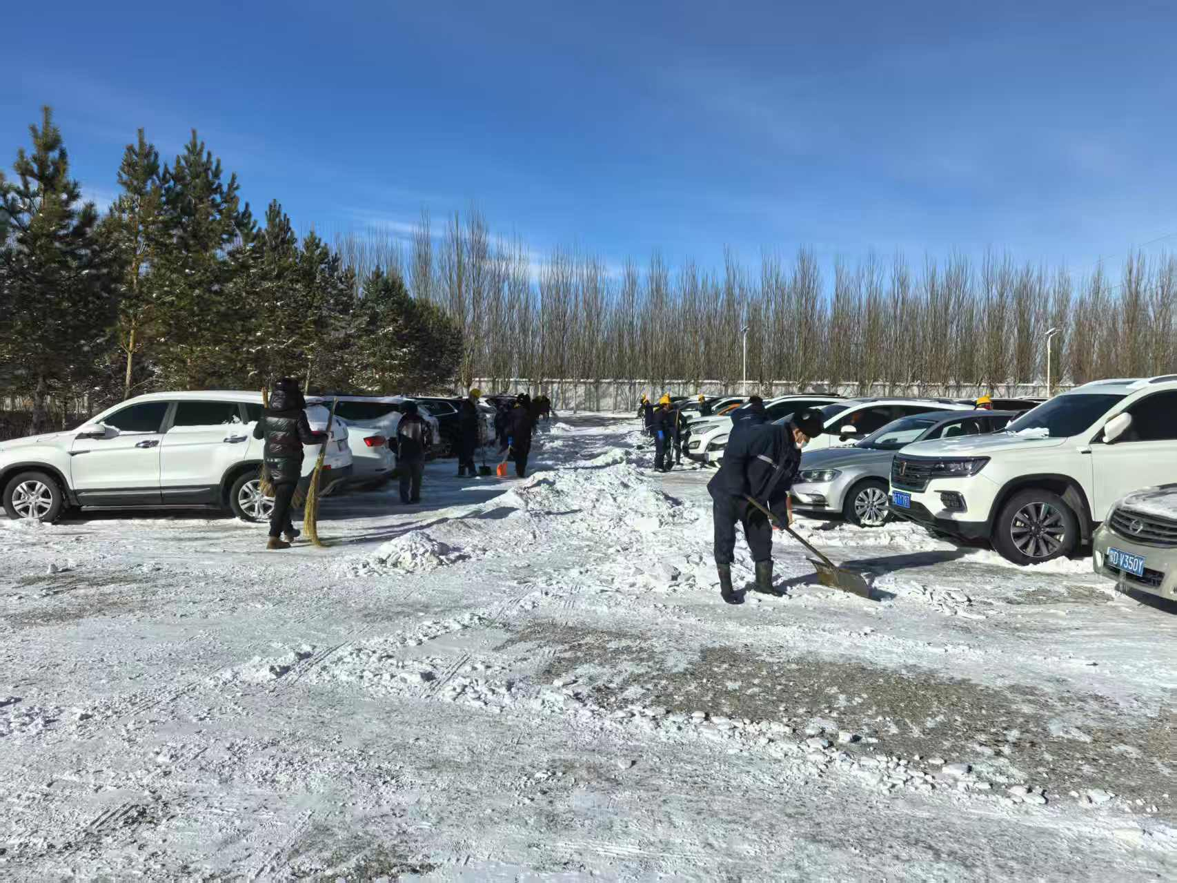 1764295267375882.png 圖片2.png